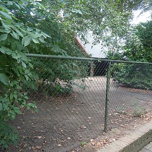 Swan goose exhibit, 2022-08-28