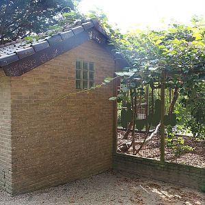 Bird house and part of Great hornbill and Himalayan monal pheasant aviary, 2022-08-28