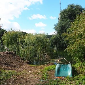 Part of pelican lake and lakeside with European white stork nest, 2022-08-28