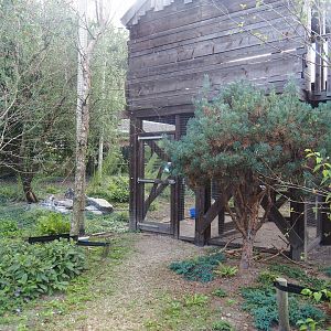 Aviary entrance, storage and smaller side aviary underneath hunting cabin-themed viewing area, 2022-08-28