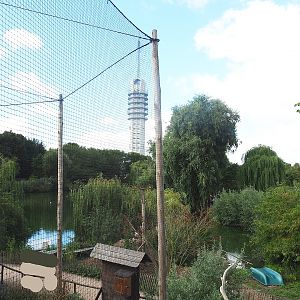 View of pelican lake from entrance to hunting cabin-themed viewing area, 2022-08-28
