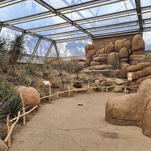 Desert - View towards Roadrunner aviary