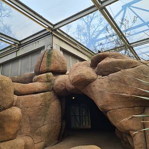 Desert - Rockwork and cave