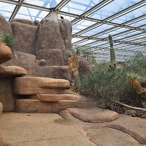 Desert - Smaller mesa rock and cave