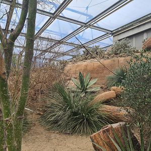 Desert - General view