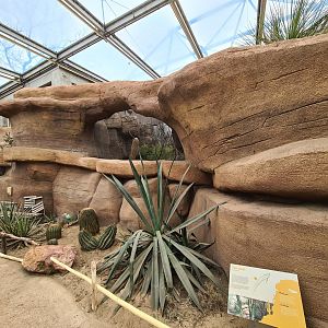 Desert - Outside view of Canyon aviary