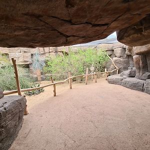 Desert - Inside of Canyon aviary