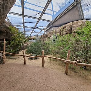 Desert - Inside of Canyon aviary