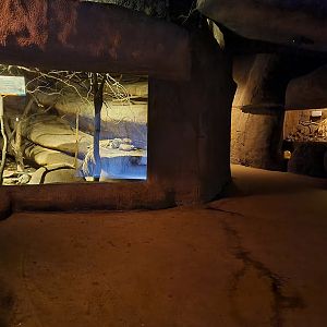 Desert - Inside of the Cave