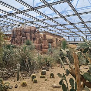 Desert - Main mesa and cacti