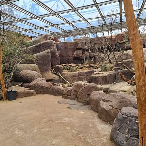 Desert - Main enclosure for Peccary, Prairie dog and Porcupines