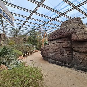 Desert - Path next to main enclosure
