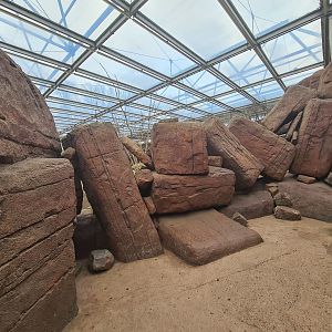 Desert - Main enclosure small viewing area
