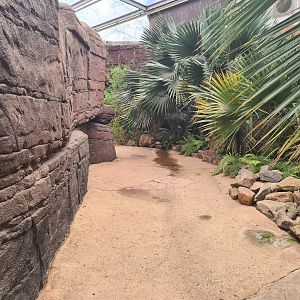 Desert - Path between Oasis creek and rocks from the main enclosure