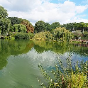 Pelican lake with Steller's sea eagle aviary in the background on the right side, 2022-08-28