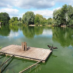 Pelican lake, 2022-08-28