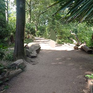 View in the lemur walk-through area, 2022-08-28