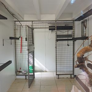 Indoor housing for lemurs, 2022-08-28