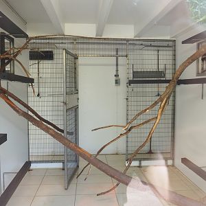 Indoor housing for lemurs, 2022-08-28