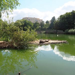 Pelican lake, 2022-08-28