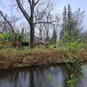 Woolly monkey island