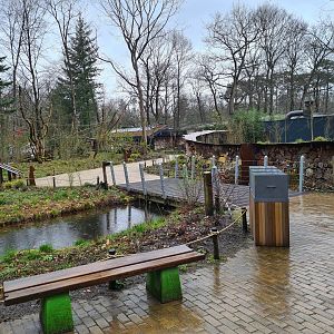 Entrance to Callitrichid forest