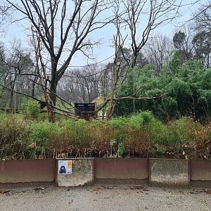 View of Woolly monkey island from Callitrichid forest