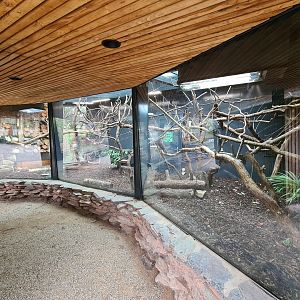 Indoor holding for Callitrichids