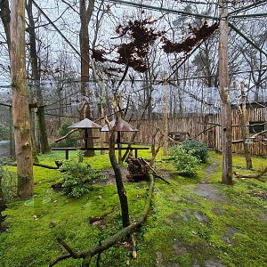 Madagascar - Separated exhibit