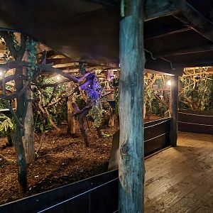 Monkey tree path - Nocturnal enclosure