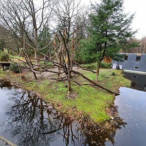 Gorilla separation island