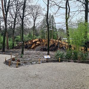 New walkthrough area