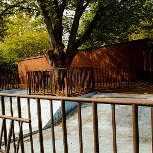 the old hippo house  2019