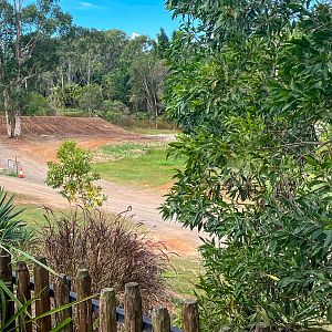 Cheetah Enclosure construction