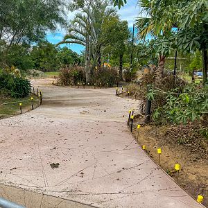 Cheetah Enclosure construction - future viewing area