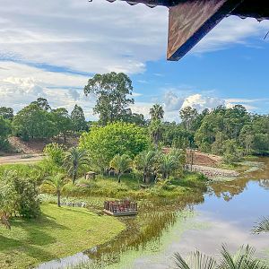 Cheetah Enclosure construction (behind lemur island)