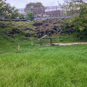 Wallaby Exhibit - Australian Precinct