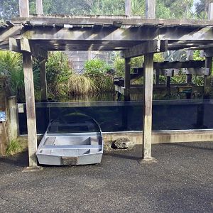 New Zealand Longfin Eel Pond (The Wetlands) - New Zealand Precinct