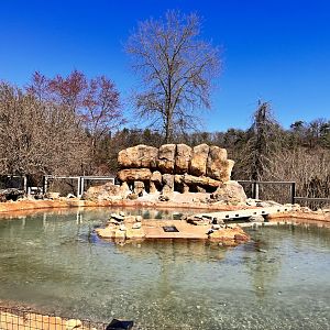 African Penguin Exhibit