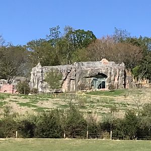 Baboon Habitat Construction seen from Zoofari