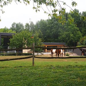 New entrance and gift shop building, Lakenvelder cattle paddock and Old ticket office building, 2022-08-20
