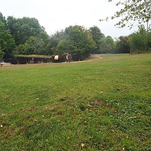 Lakenvelder cattle paddock and Old ticket office building, 2022-08-20