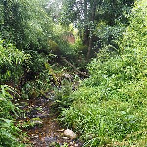 Creek in the entrance area, 2022-08-20