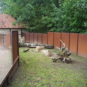 Domestic rabbit exhibit, 2022-08-20