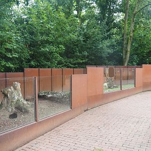 Domestic rabbit exhibit, 2022-08-20