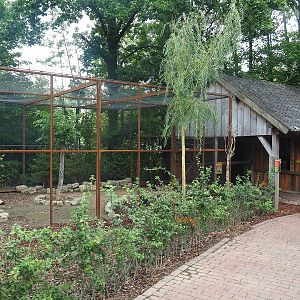 Domestic chicken and domestic pigeon aviary and barn, 2022-08-20