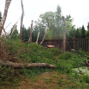 Barbary macaque exhibit, 2022-08-20