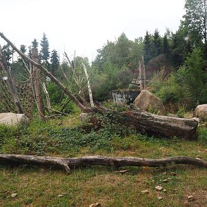 Barbary macaque exhibit, 2022-08-20