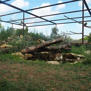 Reconstructed Taiga aviary - View from smaller viewing shelter, 2022-08-20