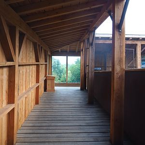 Reconstructed Taiga aviary - Interior of main viewing shelter, 2022-08-20